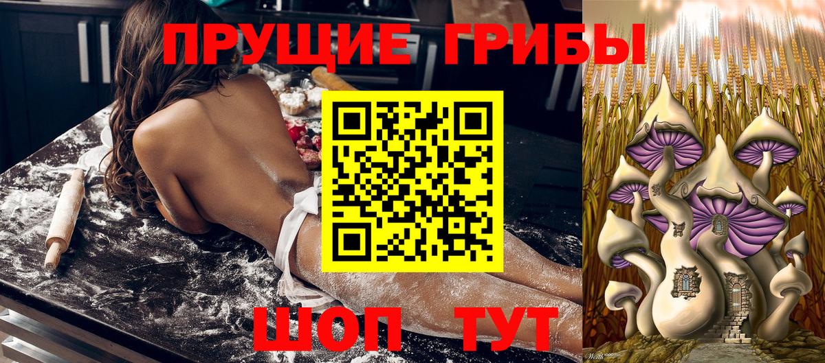 Галлюциногенные грибы GOLDEN TEACHER  Псилоцибиновые грибы Cubensis  Щёлково  что такое наркотик  Вход с VPN 